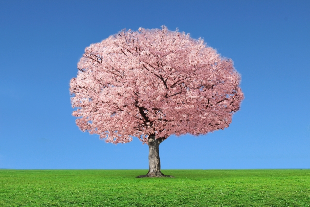 春は婚活のチャンス｜出会いを引き寄せる小さな行動とは