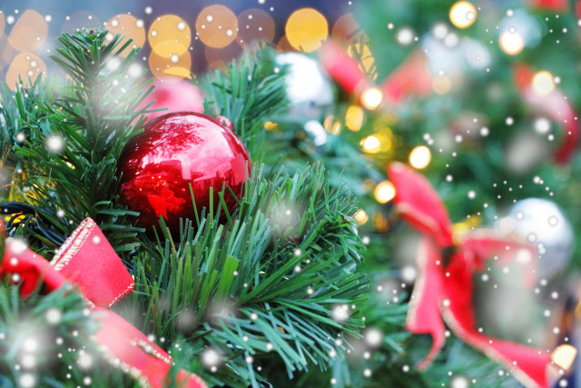 【男性30歳～45歳／女性28歳～43歳】四日市・Xmas🎄婚活パーティ✨✨