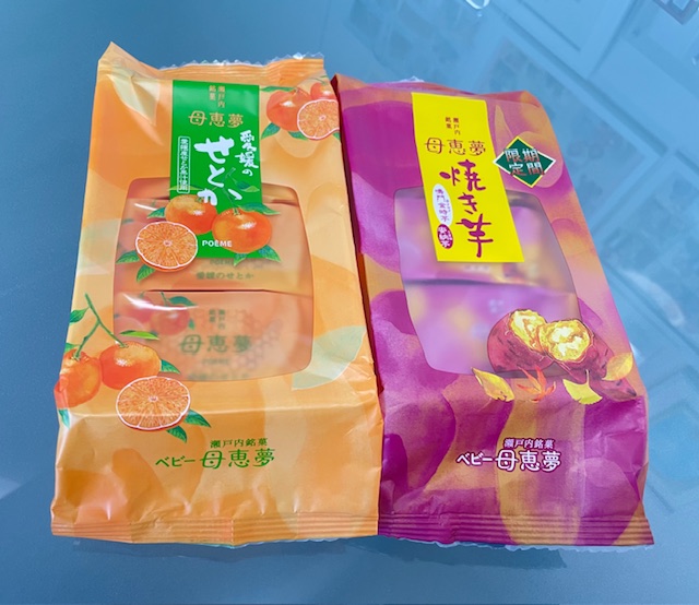 ご成婚者からの幸せな近況報告｜愛媛旅行と家族で楽しむ結婚生活